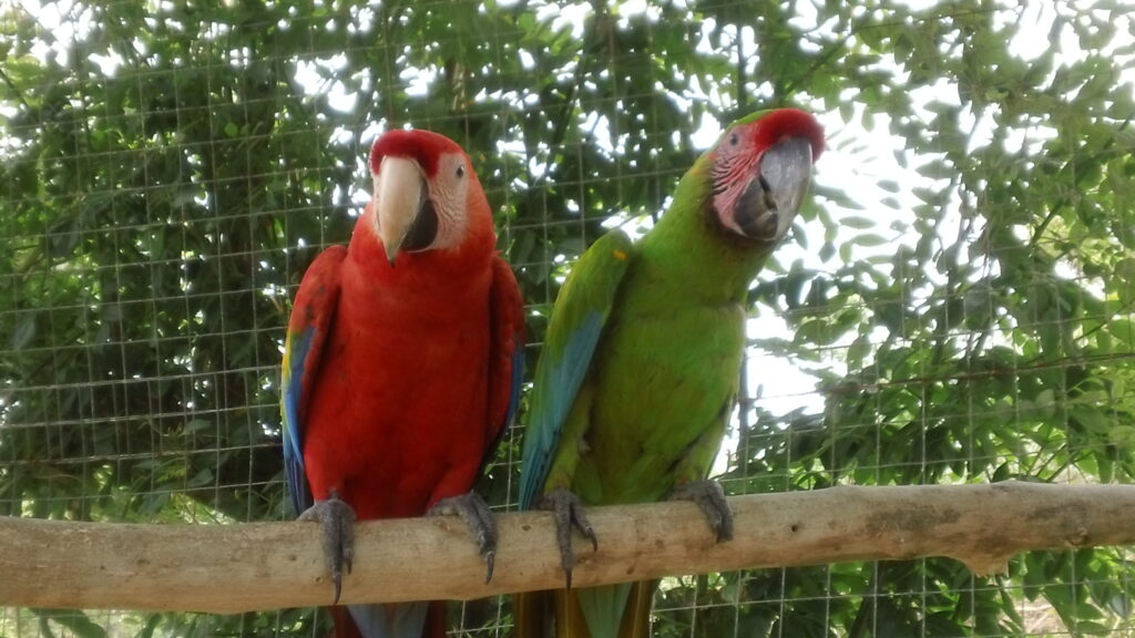 Manawakie Eco Park - Roatan